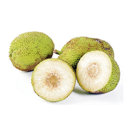 Bread fruit